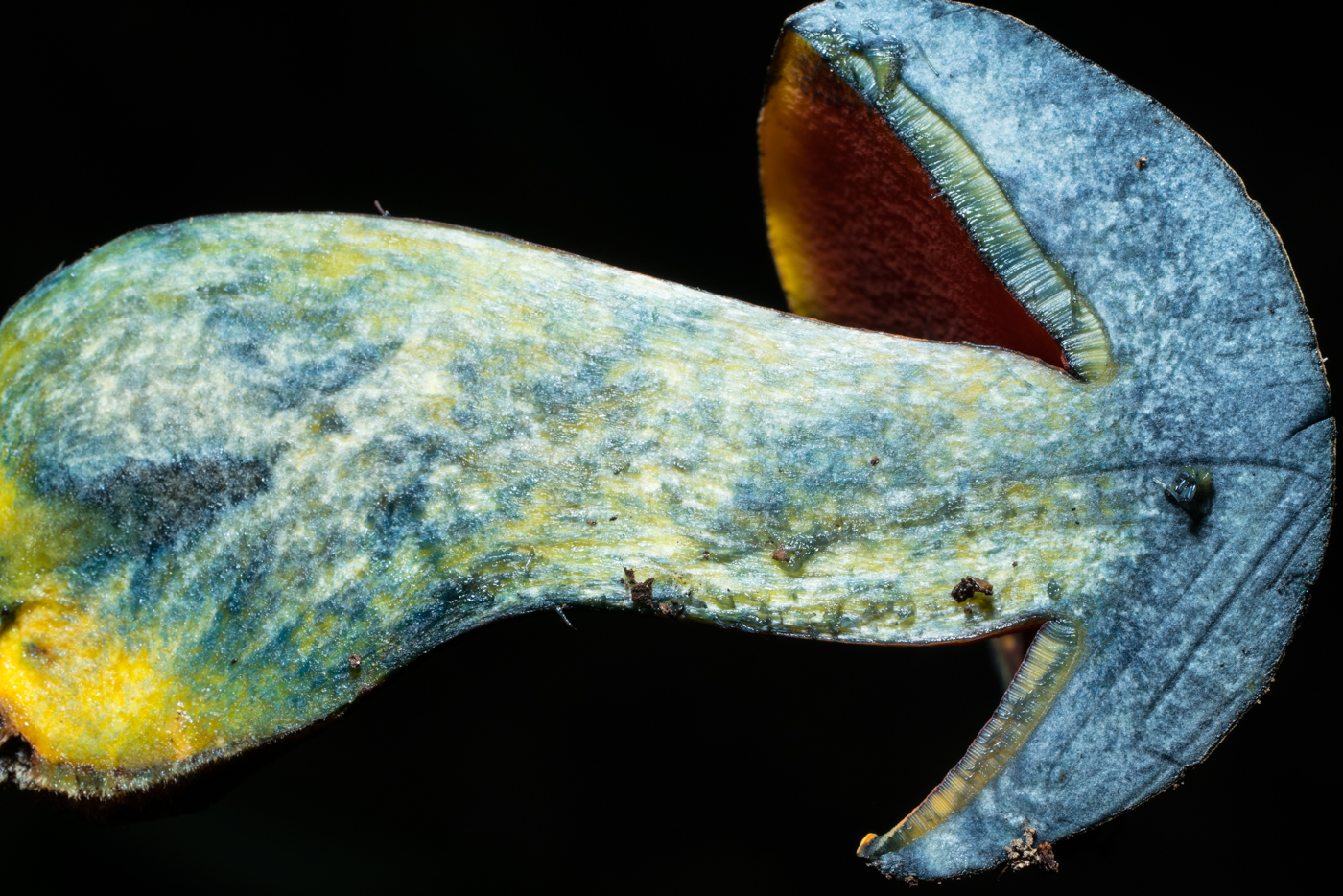 YDY03729.jpg