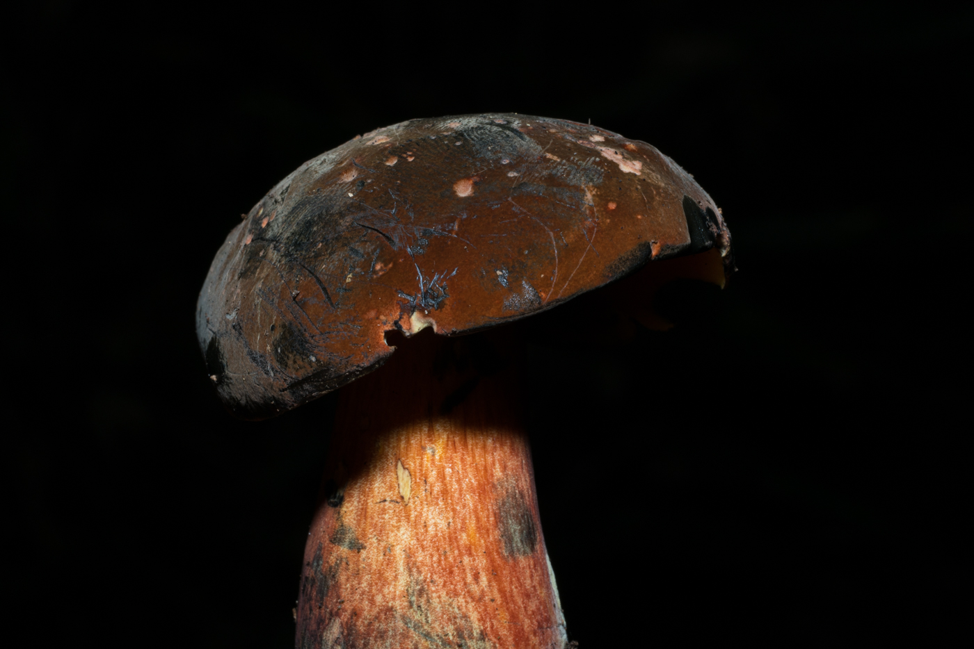 YDY03710.jpg