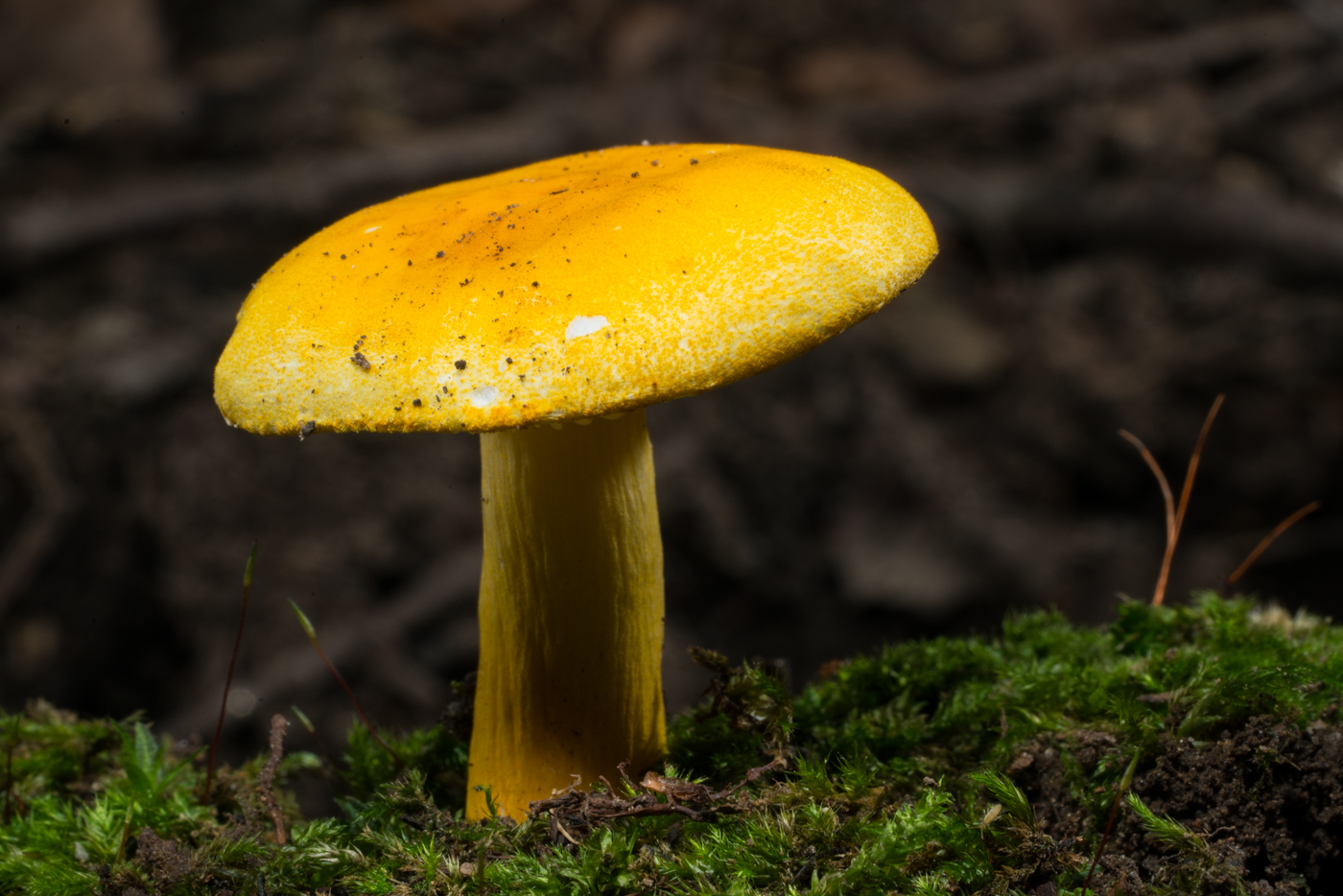 YDY03580.jpg