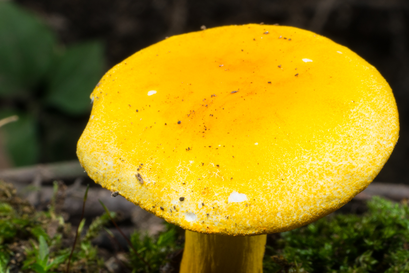 YDY03570.jpg