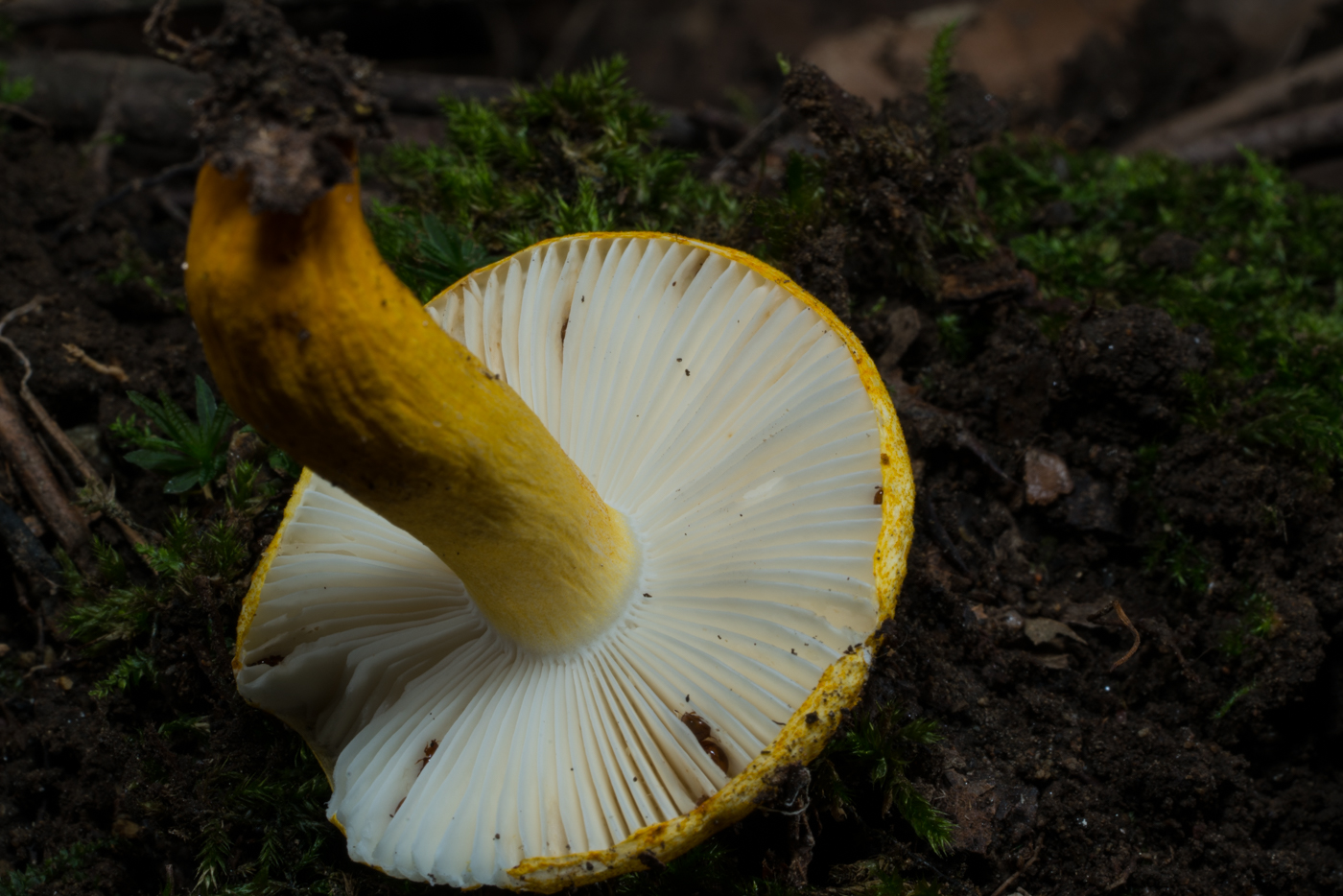 YDY03588.jpg