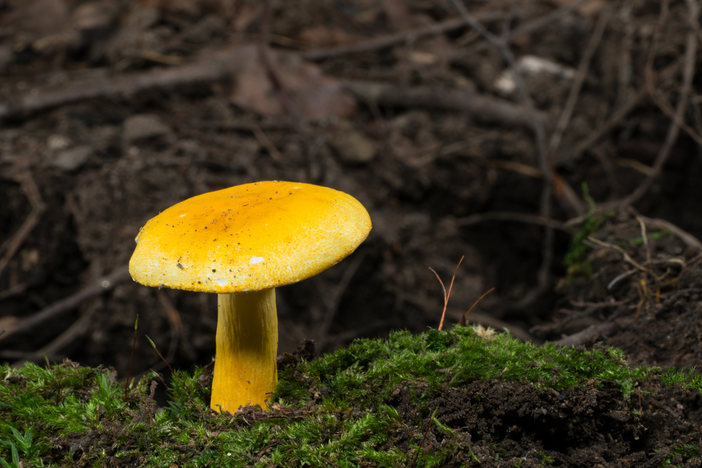 YDY03567.jpg