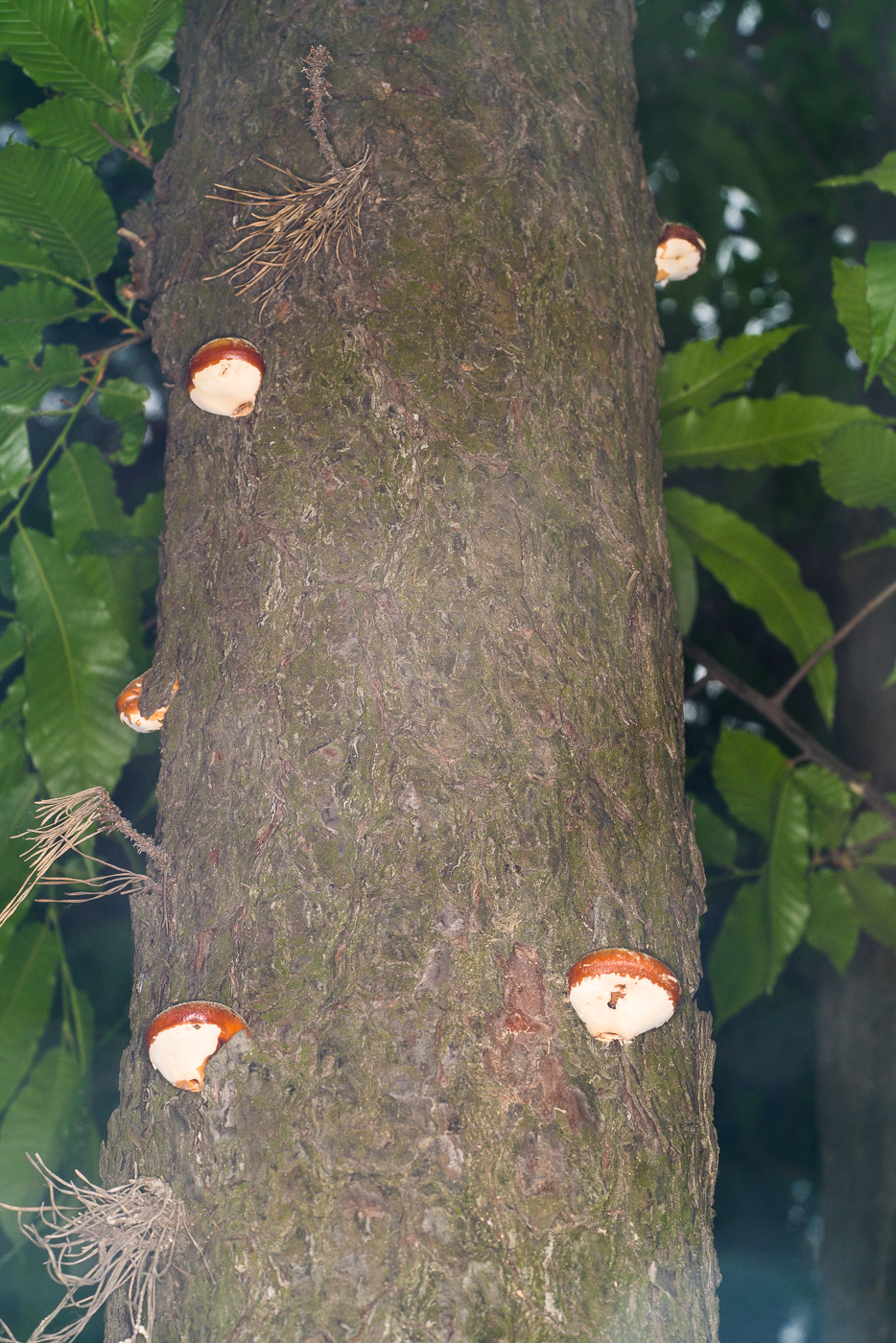 DSC02740.jpg