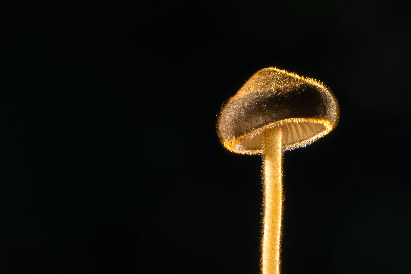 YDY08276.jpg