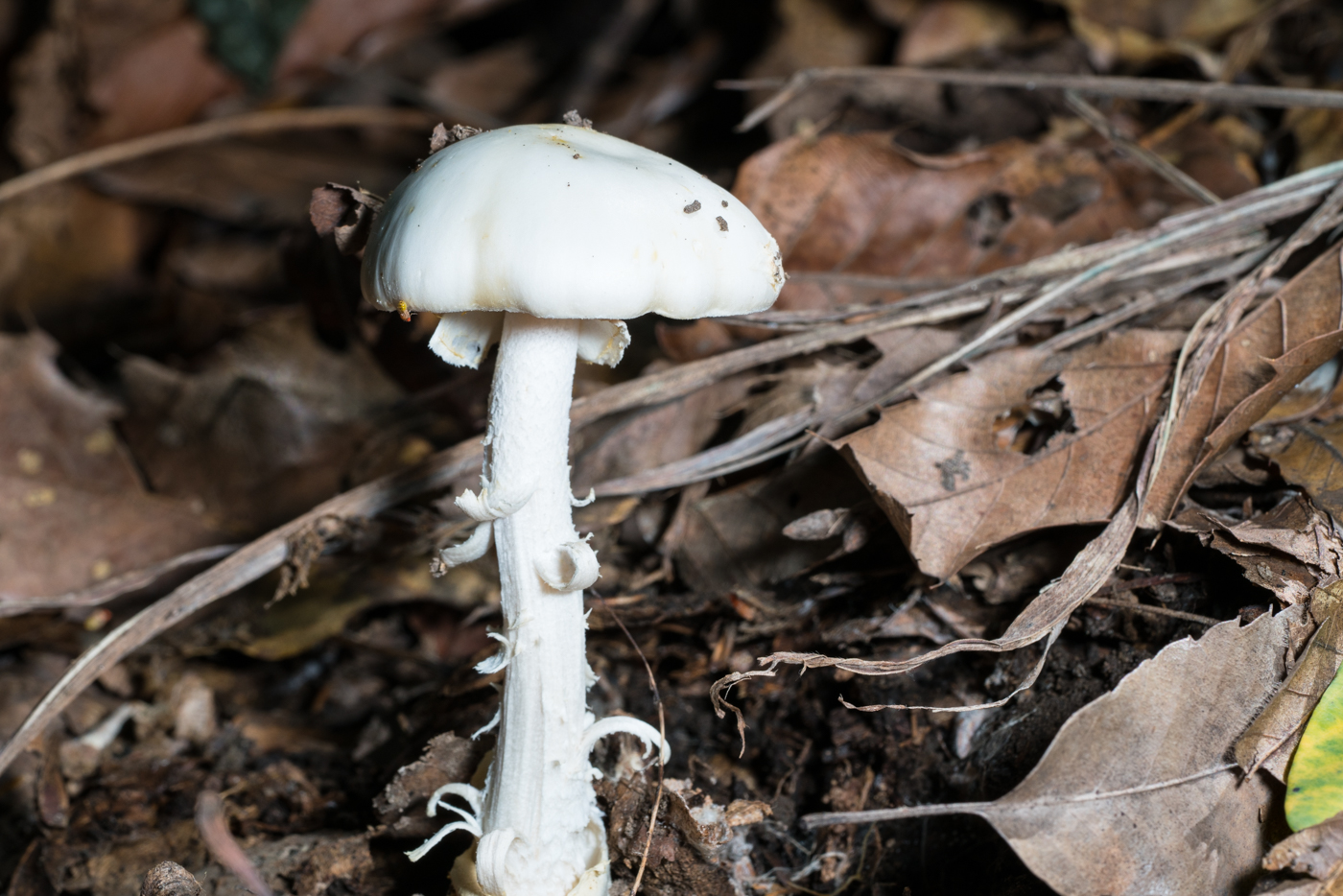 DSC04224.jpg