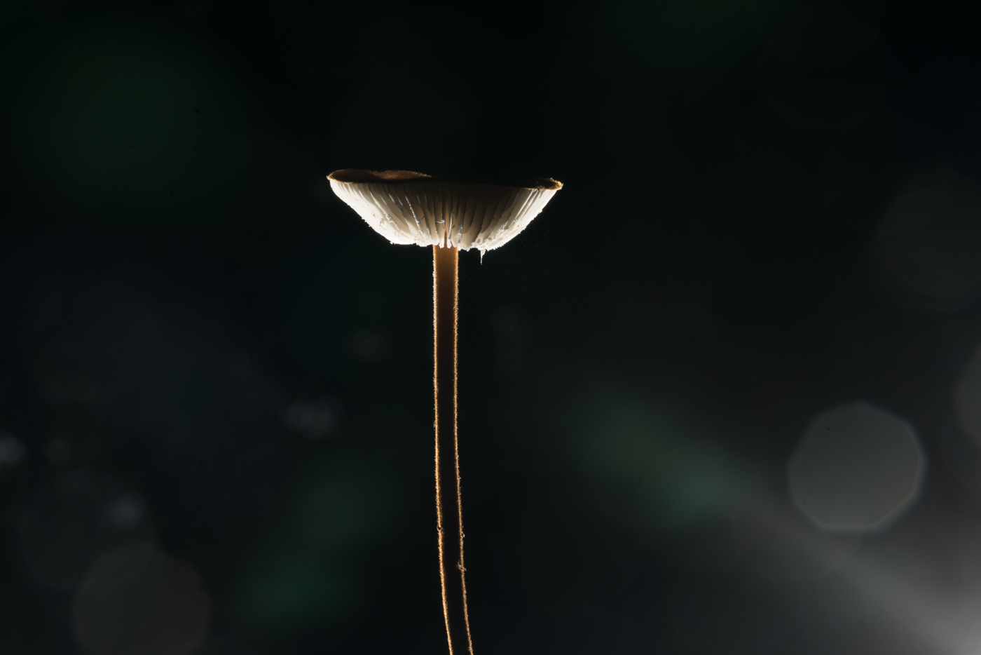 YDY08607.jpg