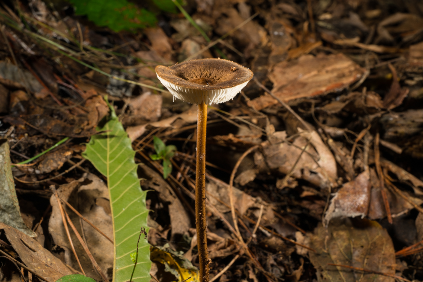 YDY08600.jpg