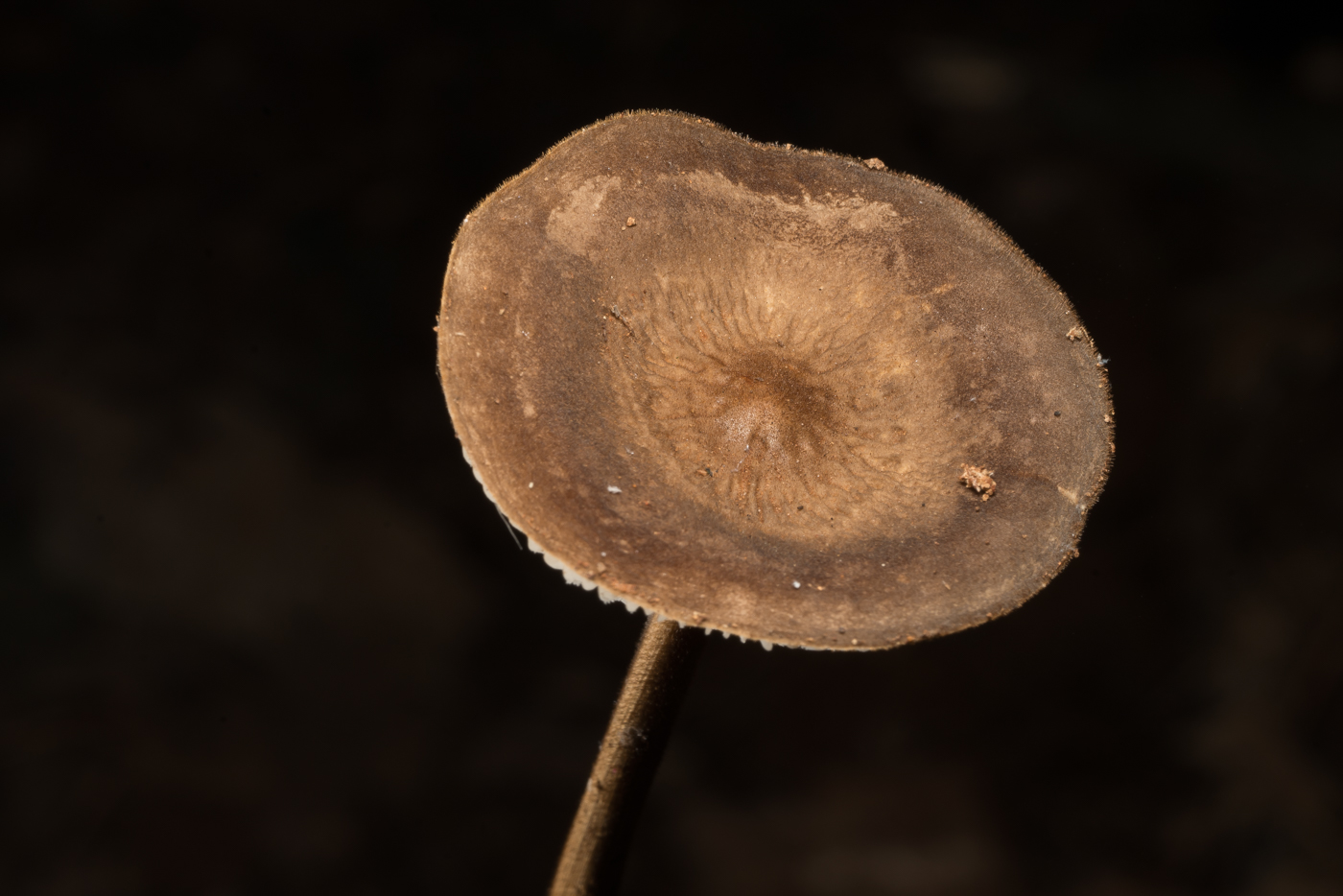 YDY08616.jpg