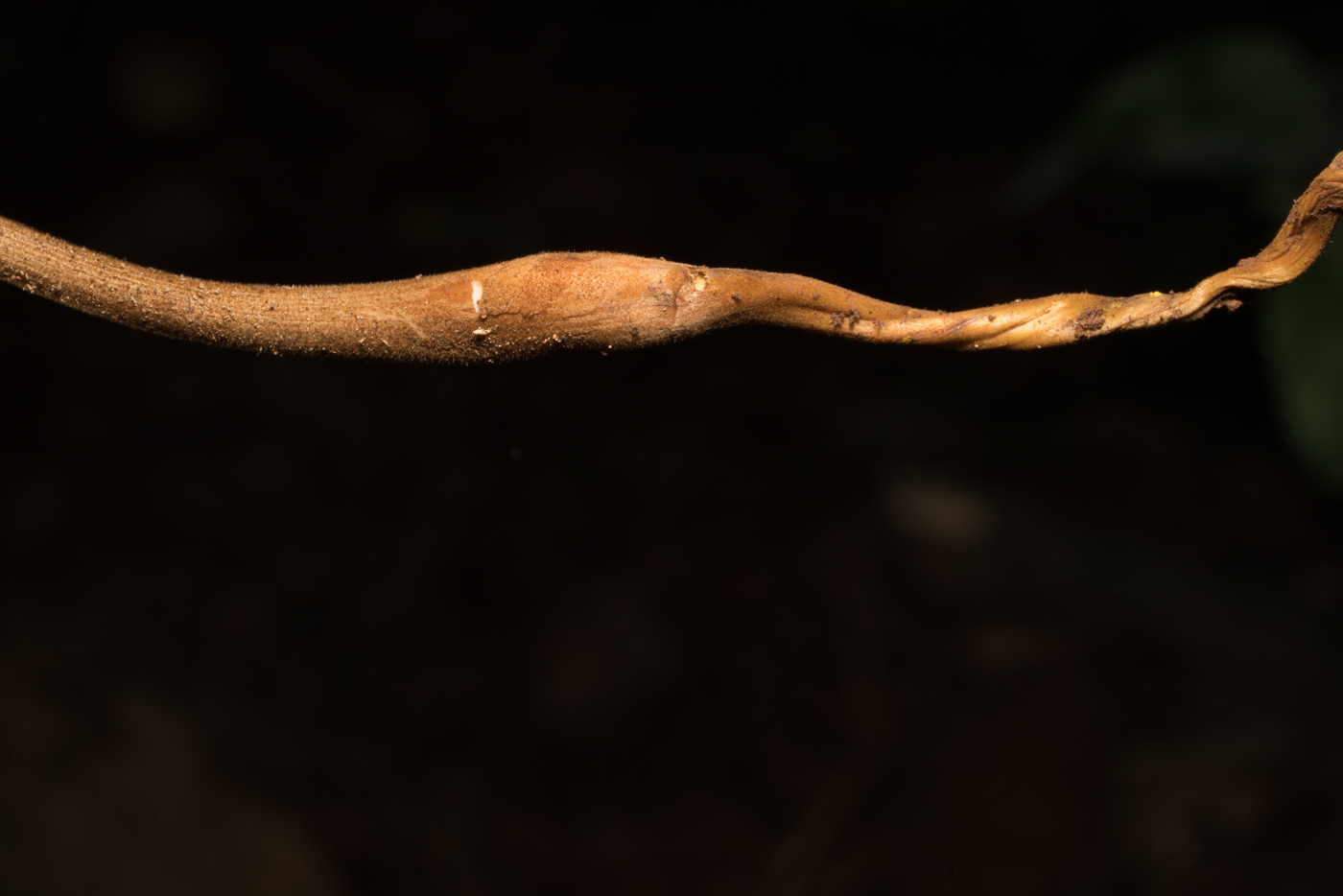 YDY08619.jpg