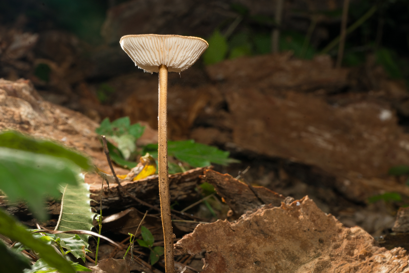 YDY08591.jpg