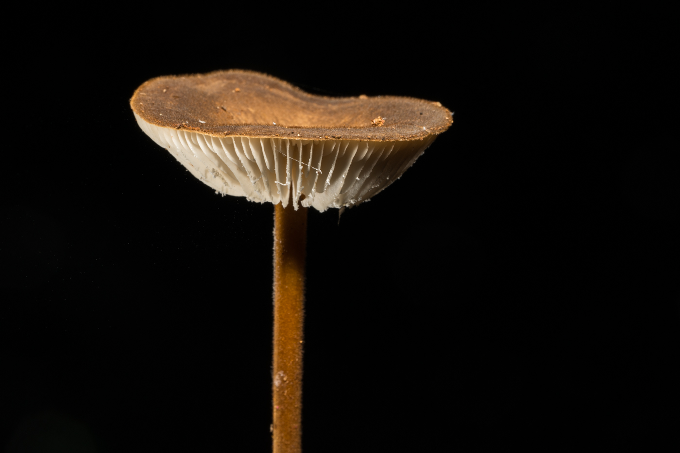 YDY08618.jpg
