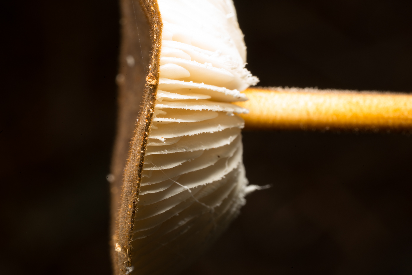 YDY08621.jpg