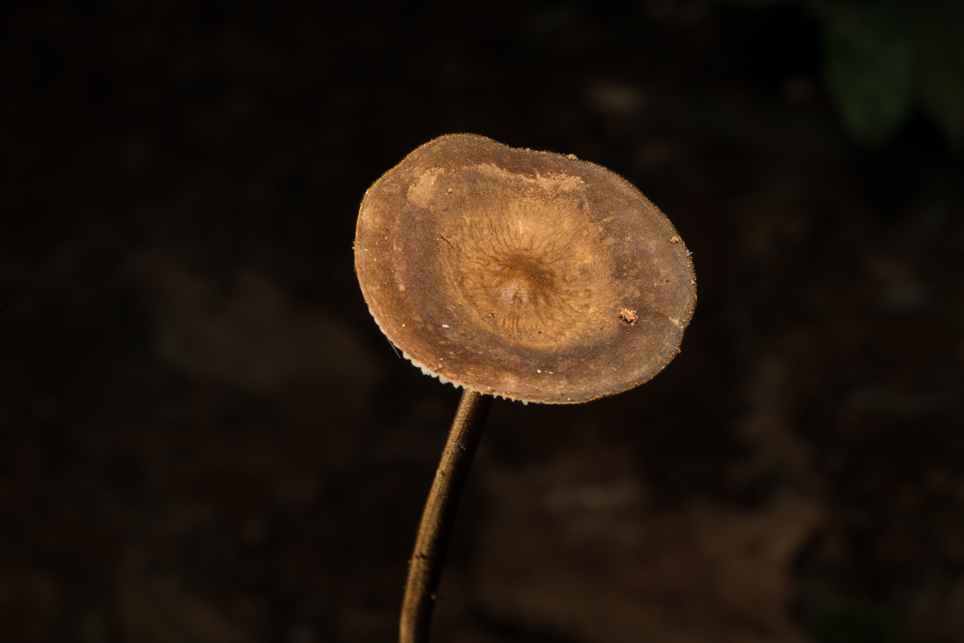 YDY08617.jpg