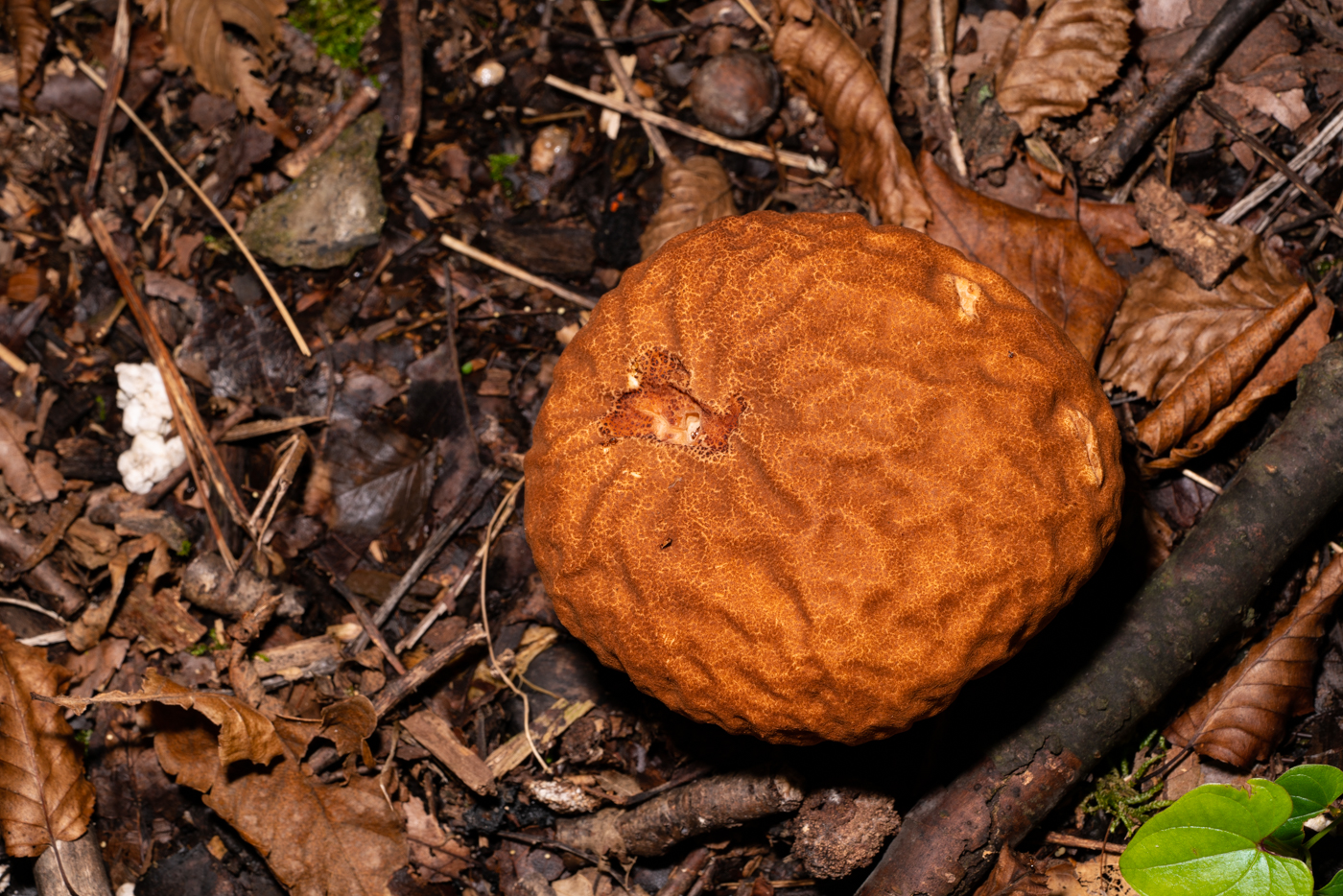 YDY09910.jpg