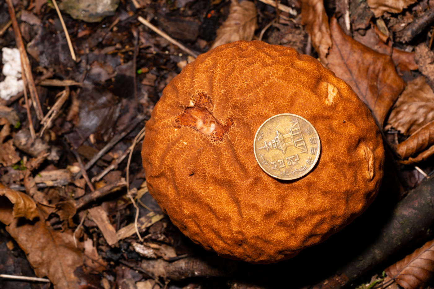 YDY09911.jpg