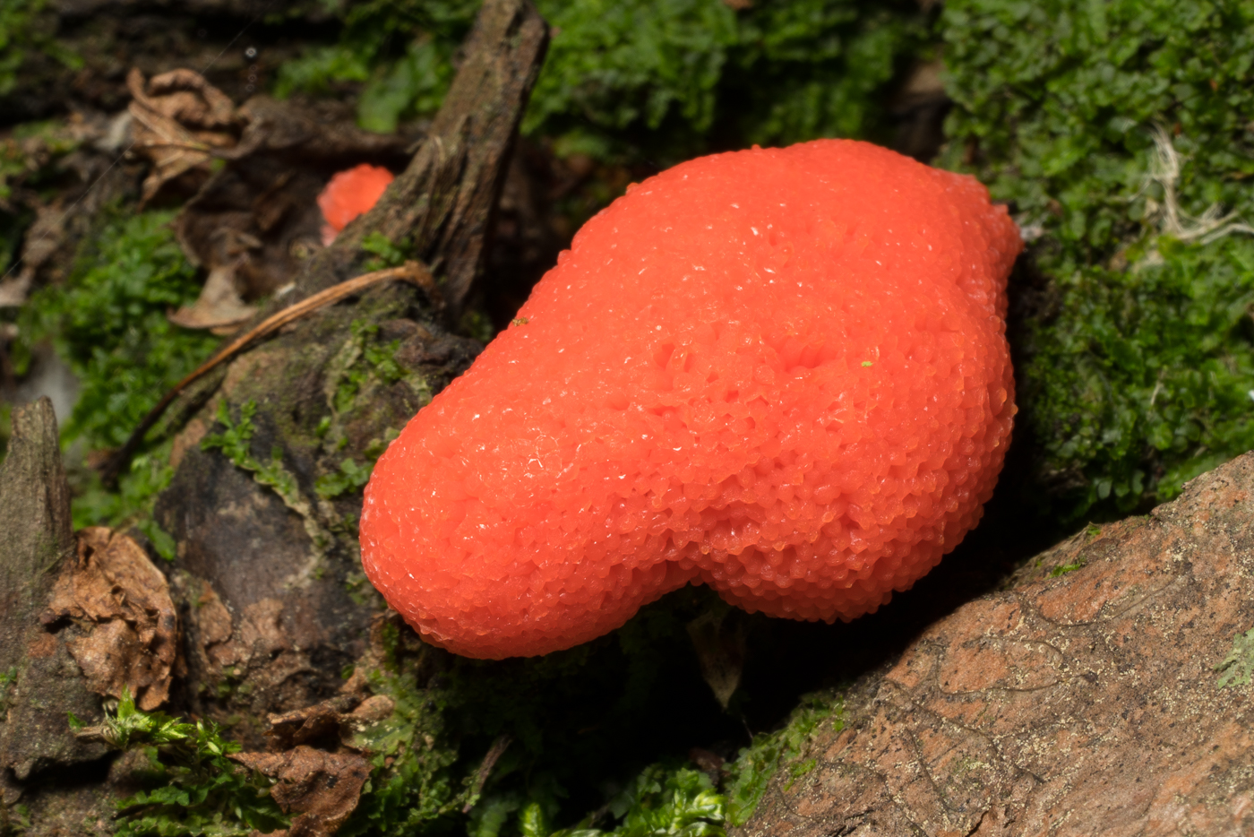 YDY08567.jpg