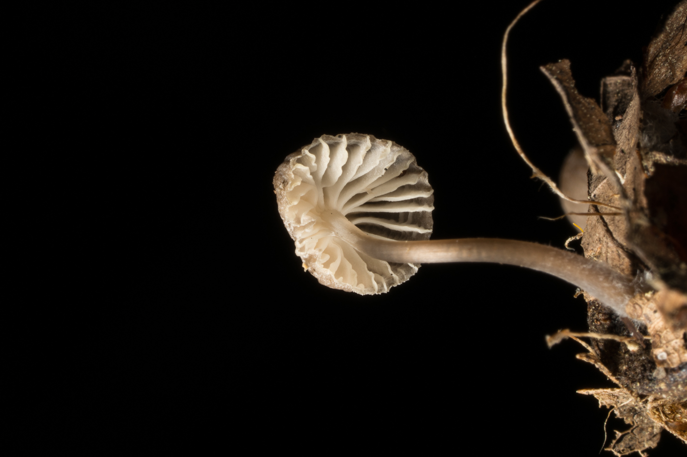 YDY08304.jpg