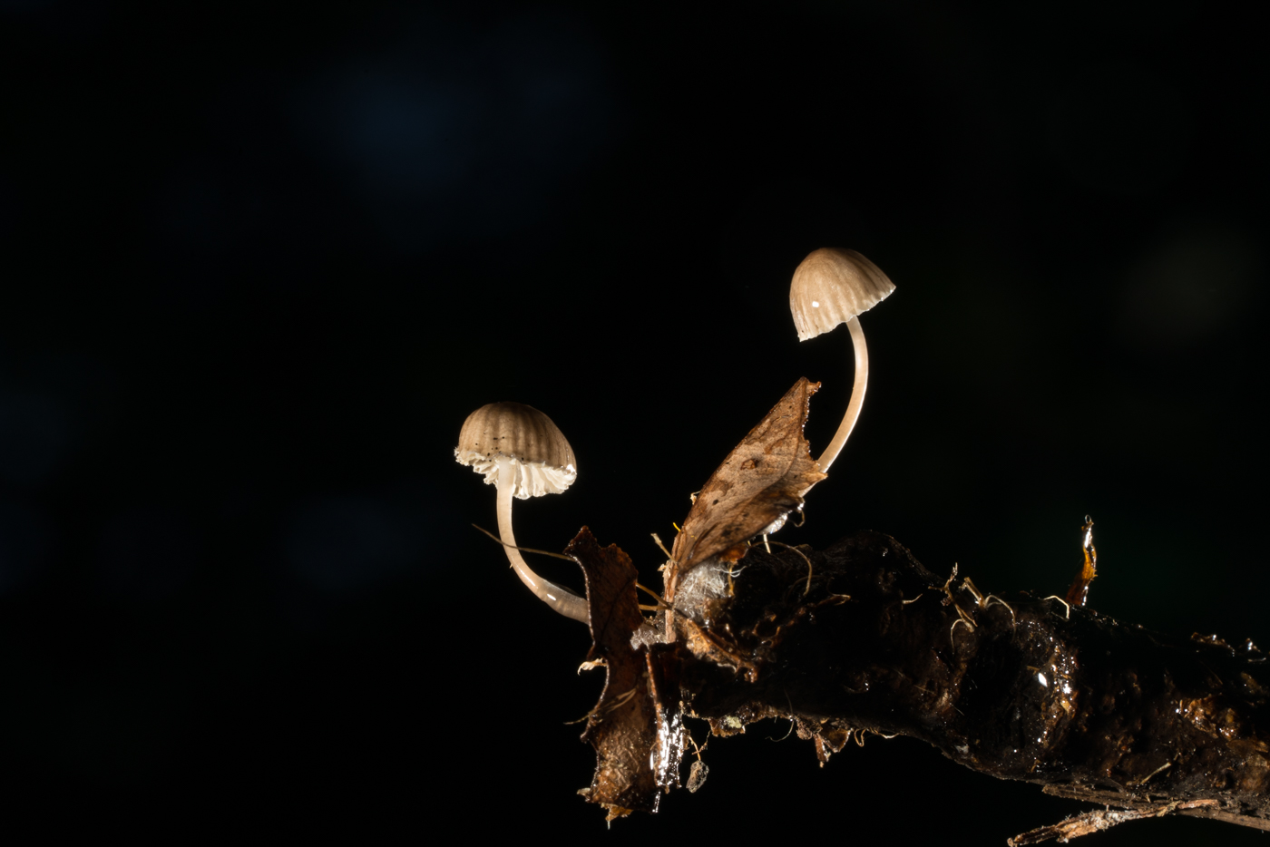 YDY08317.jpg