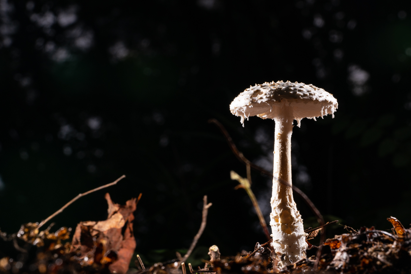 YDY09787.jpg