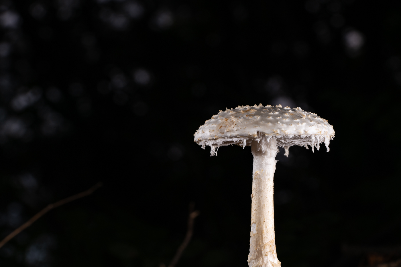 YDY09804.jpg