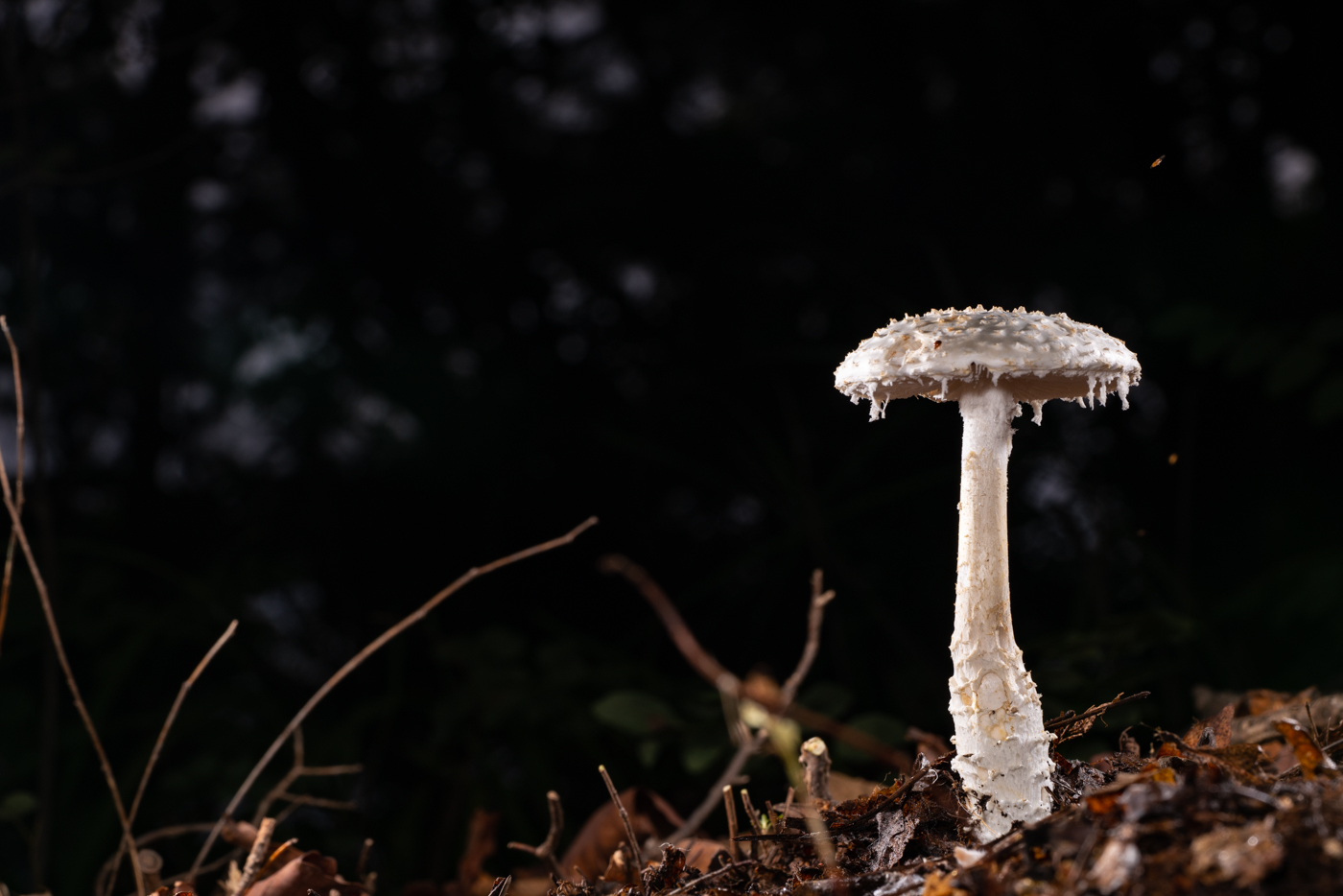 YDY09802.jpg