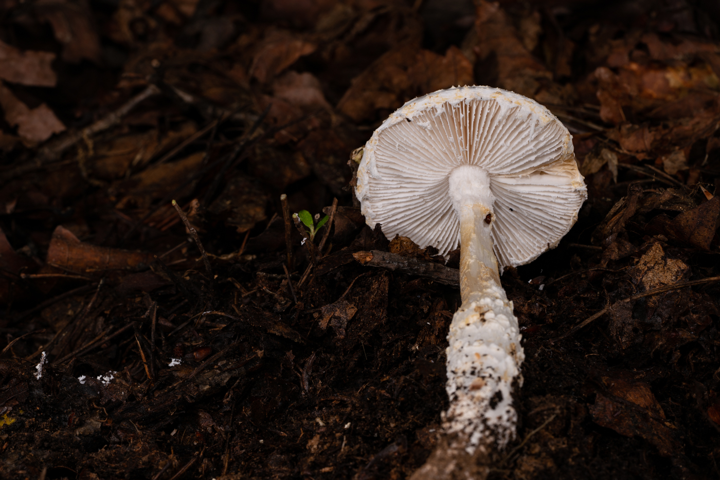 YDY09805.jpg