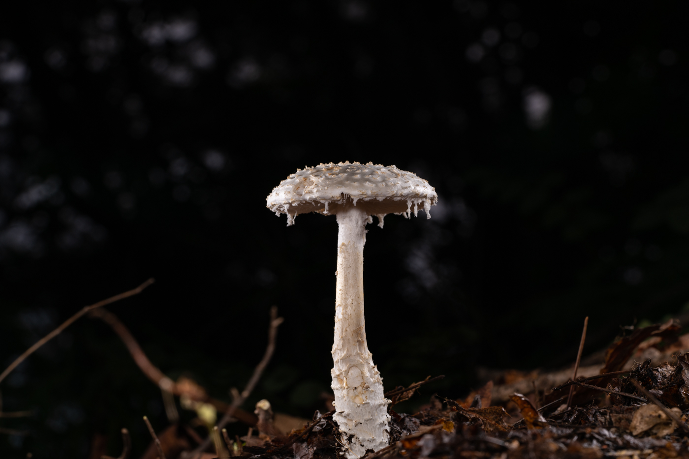 YDY09798.jpg