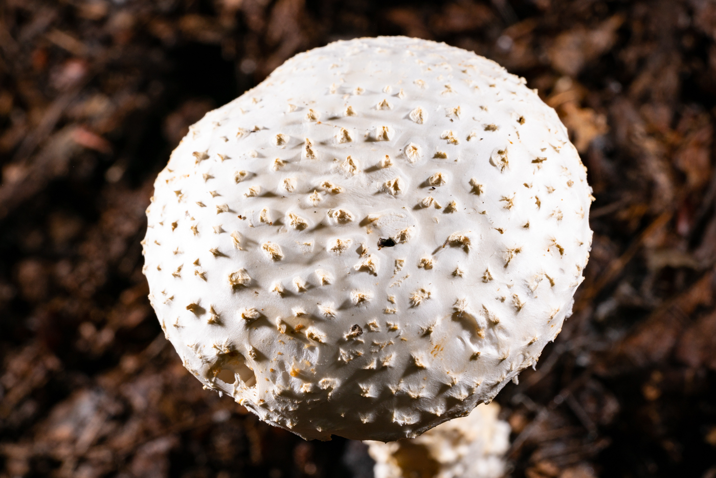 YDY09790.jpg