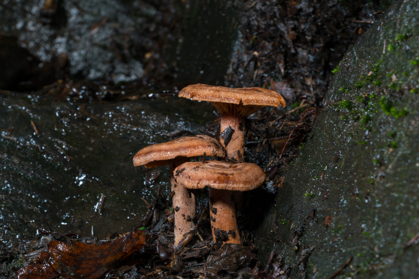 YDY03832.jpg