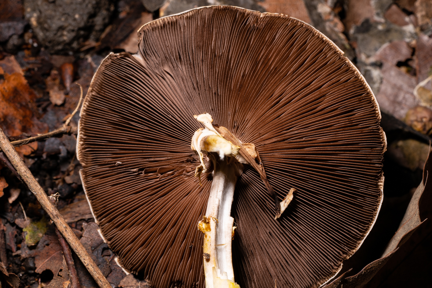 YDY09887.jpg