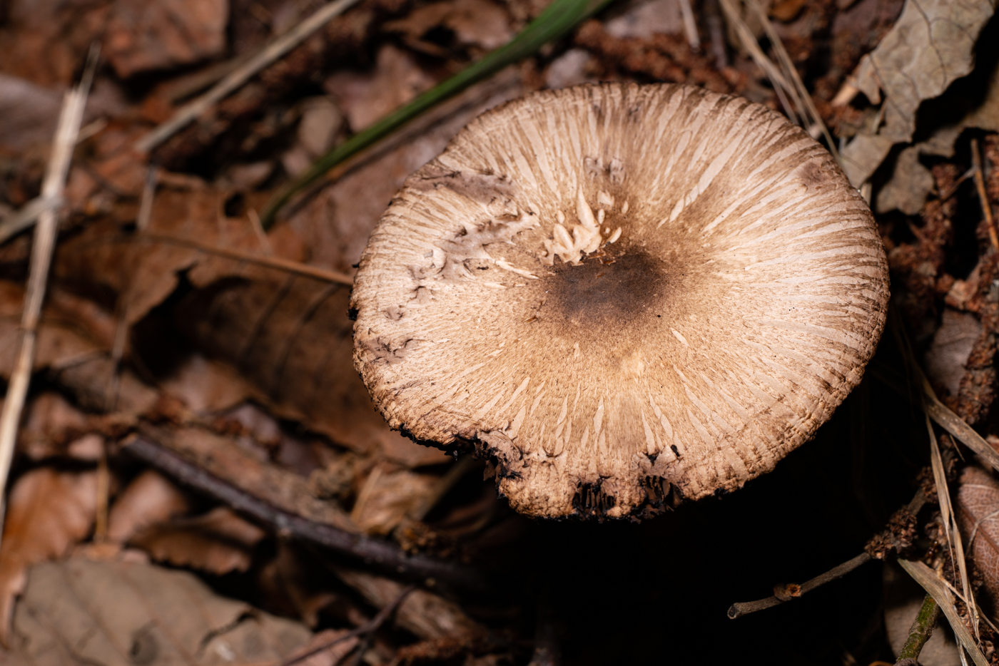 YDY09874.jpg