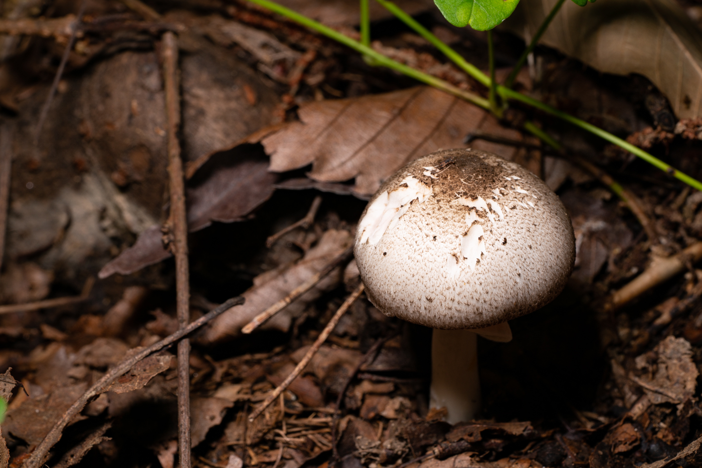 YDY09864.jpg