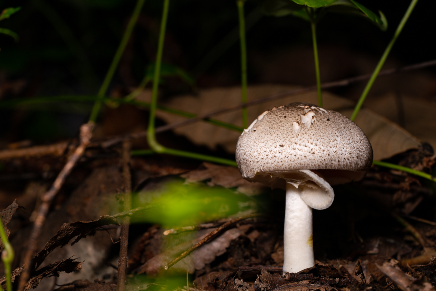 YDY09863.jpg