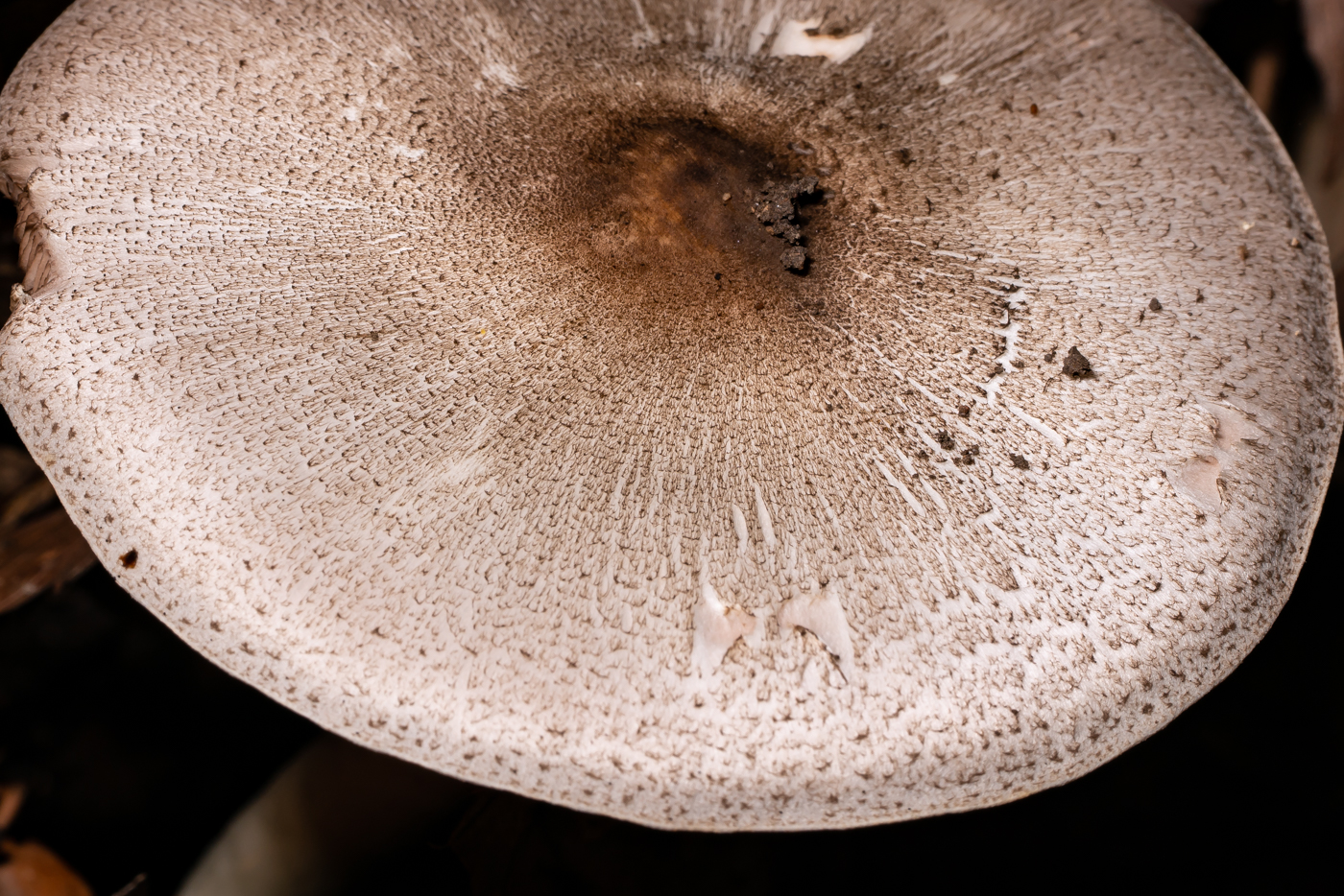 YDY09891.jpg