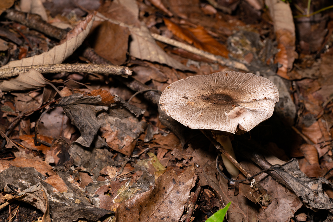 YDY09886.jpg