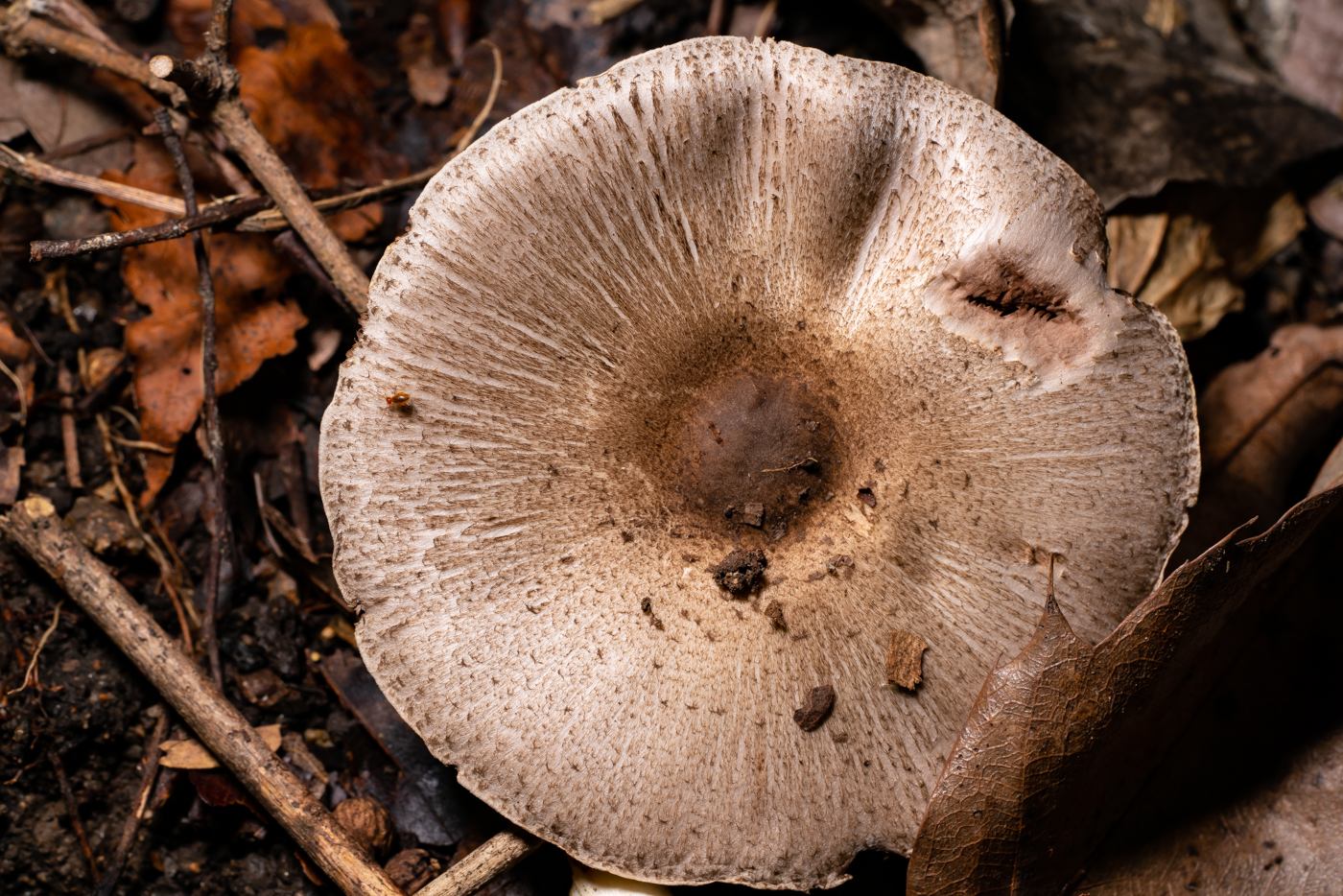 YDY09888.jpg