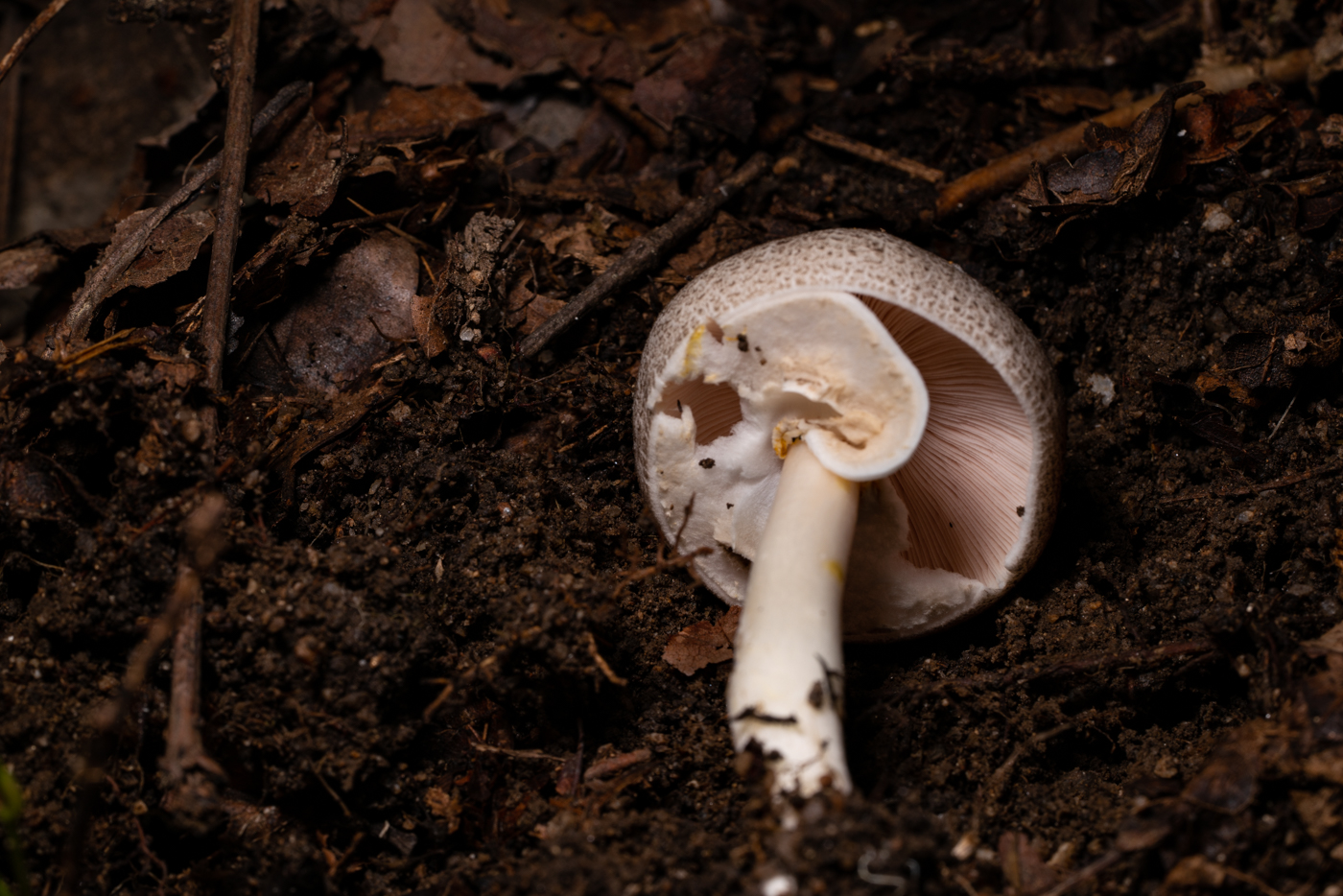 YDY09868.jpg