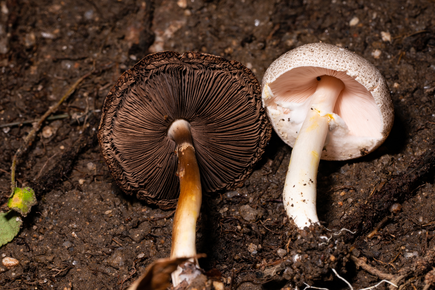YDY09877.jpg