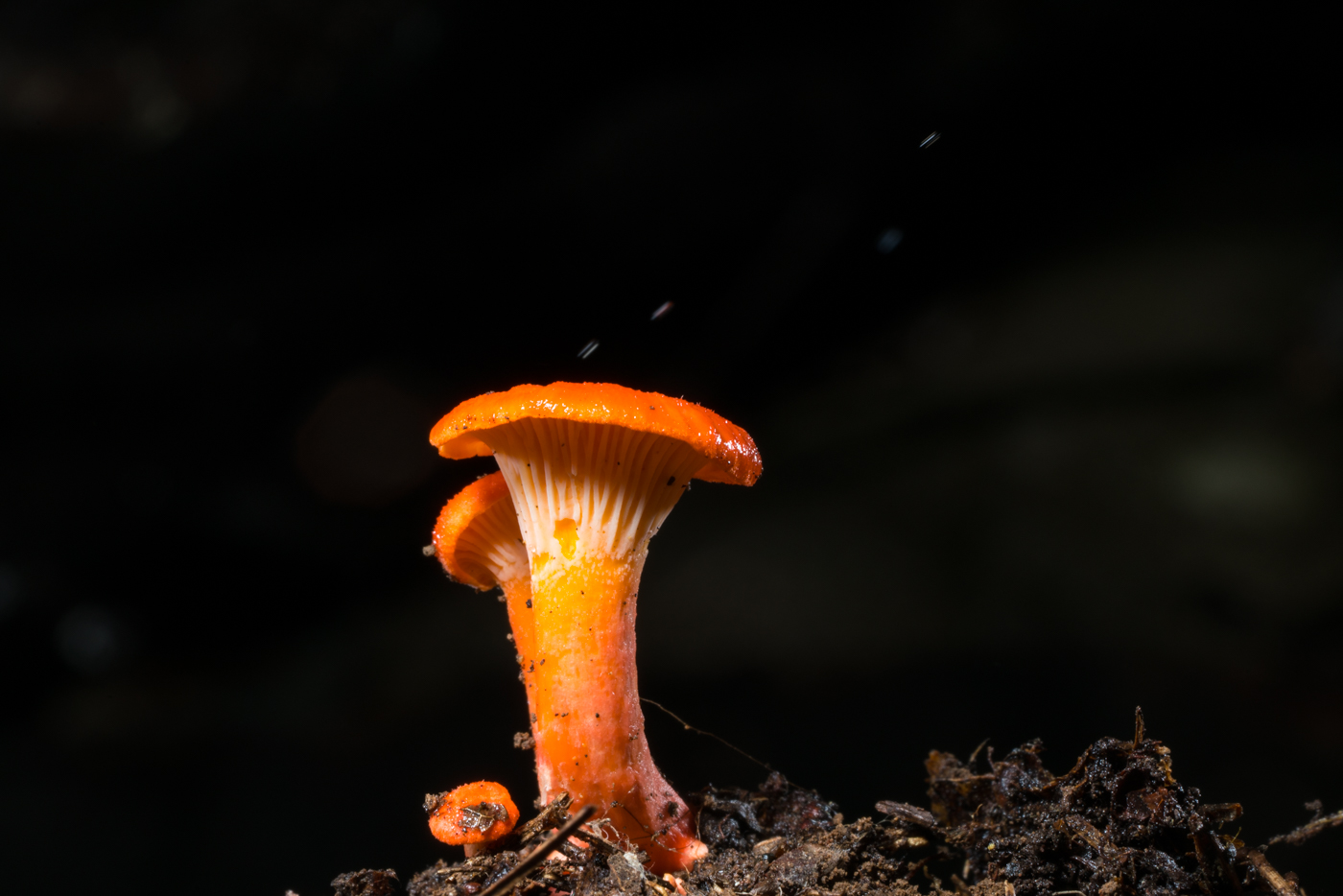 YDY03788.jpg