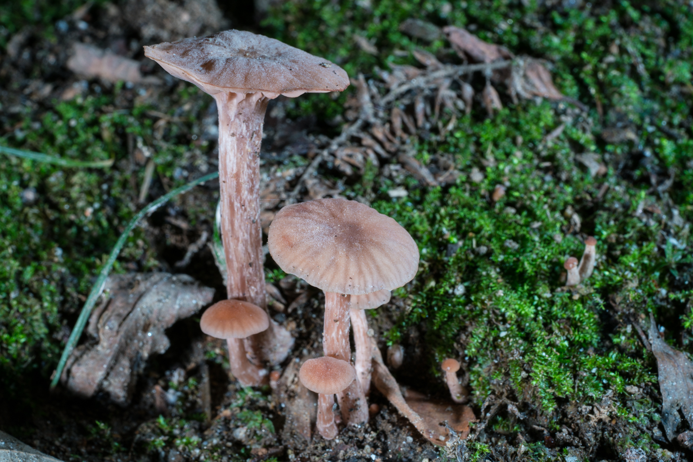 DSC04423.jpg