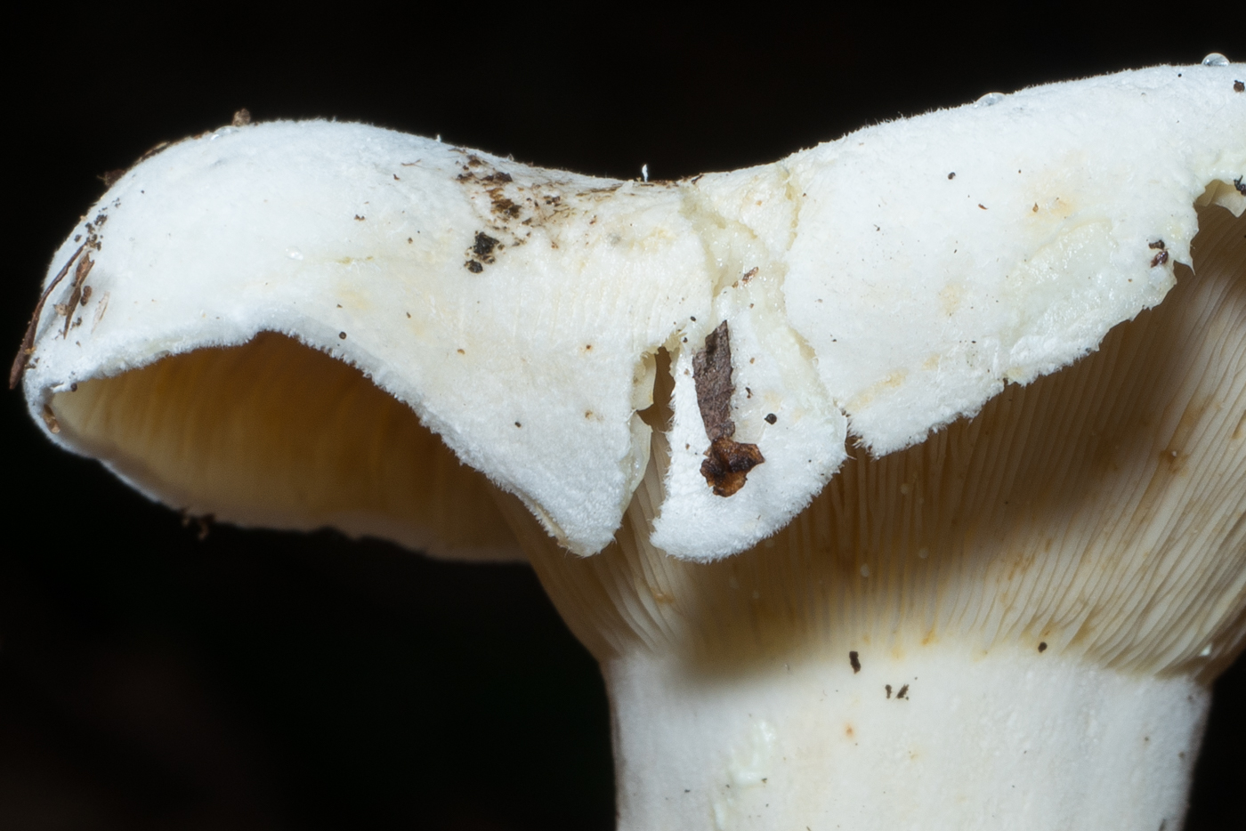 YDY04318.jpg