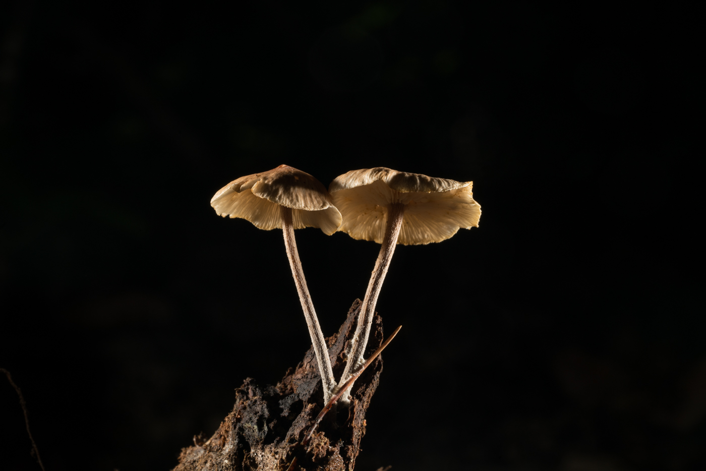 YDY08260.jpg
