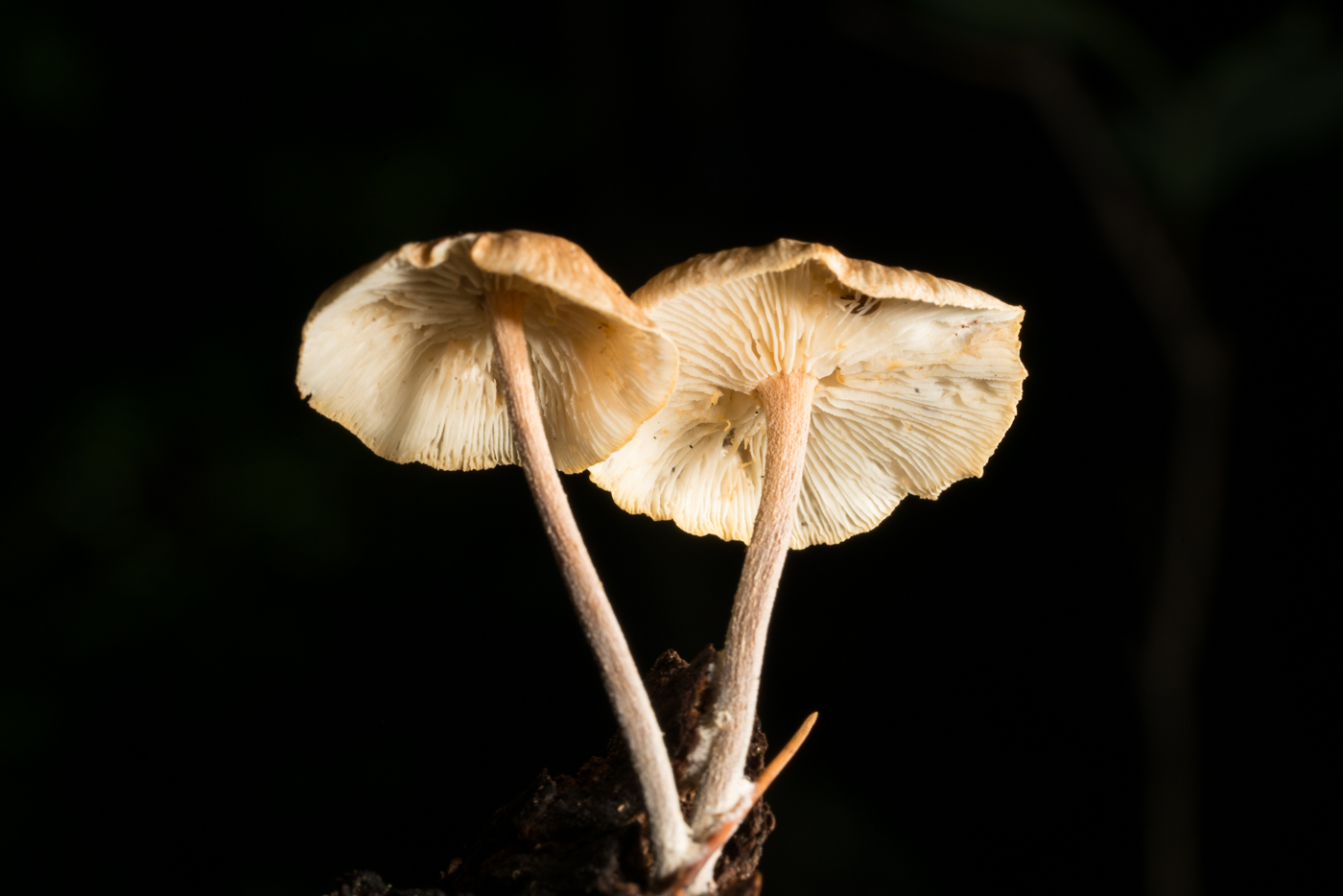 YDY08268.jpg