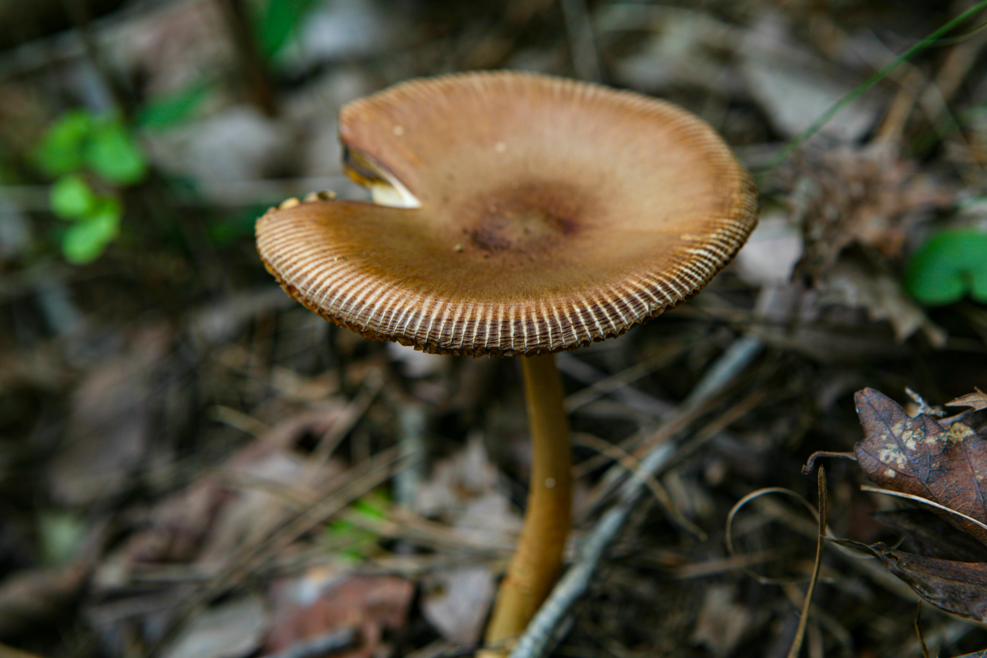 IMG_5436.JPG