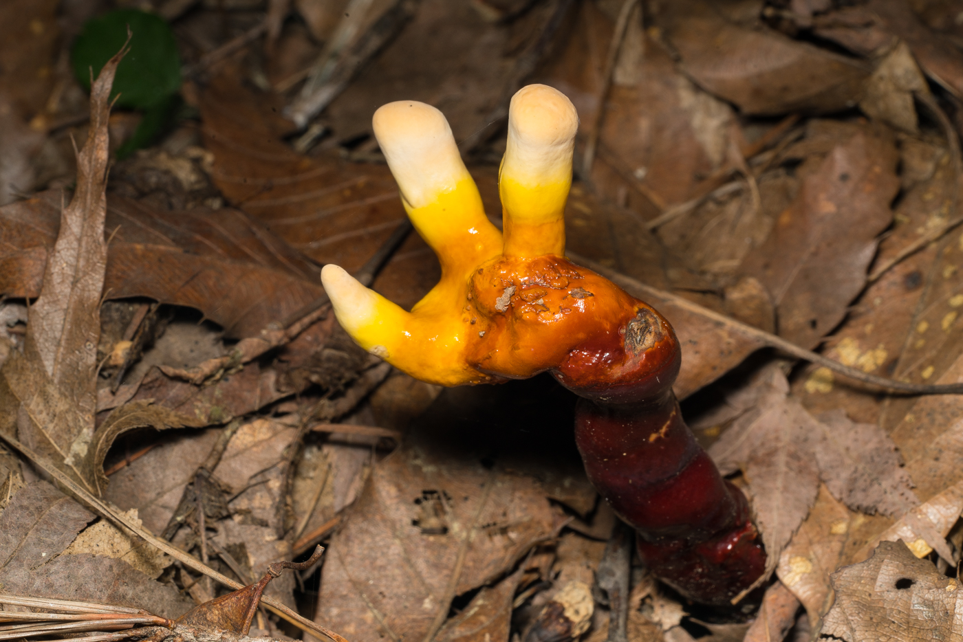 YDY08573.jpg