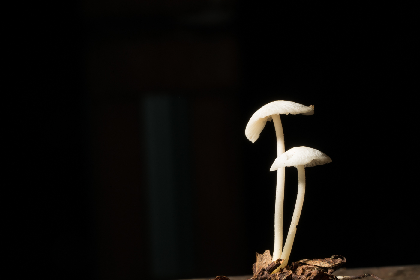 YDY08679.jpg