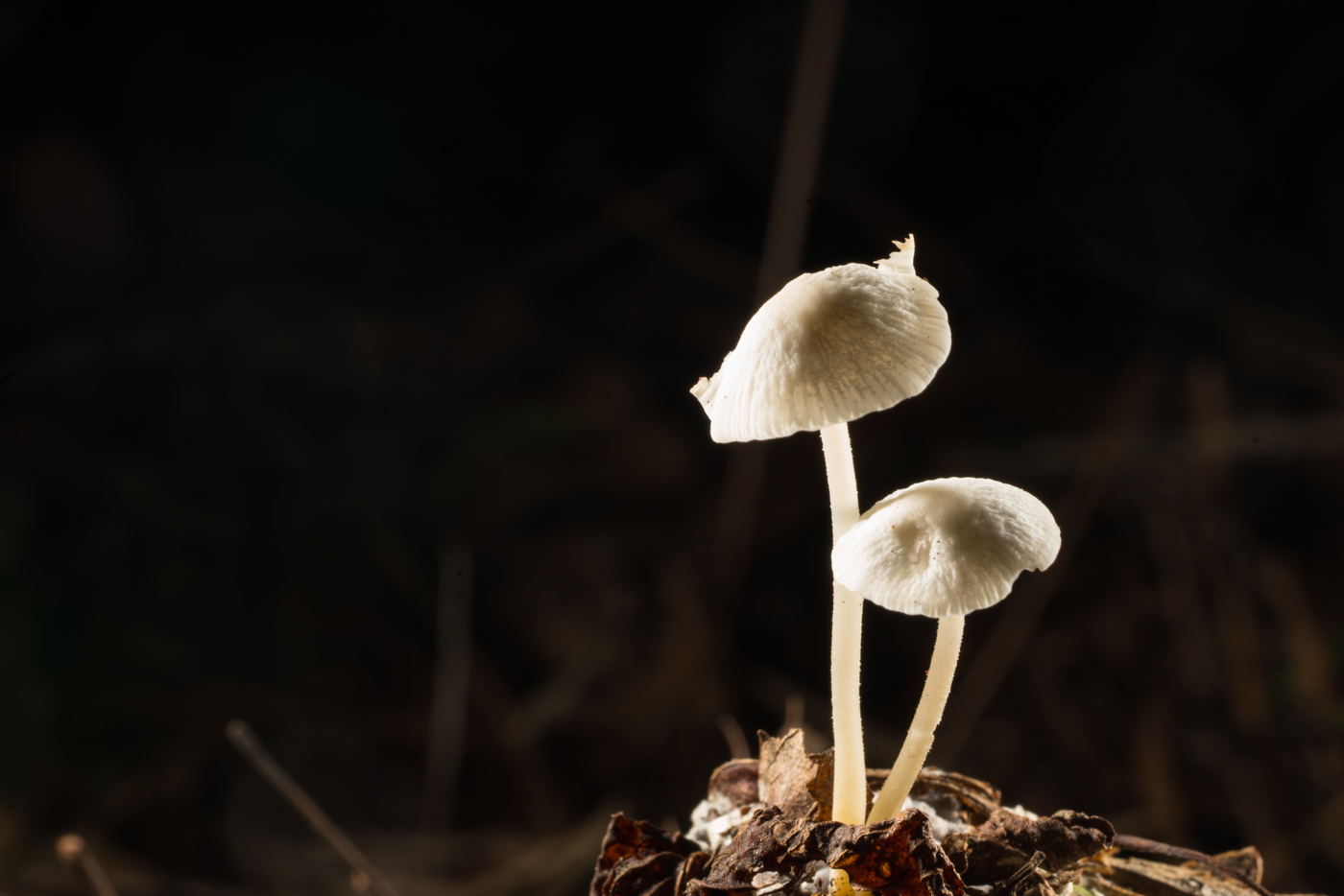 YDY08659.jpg