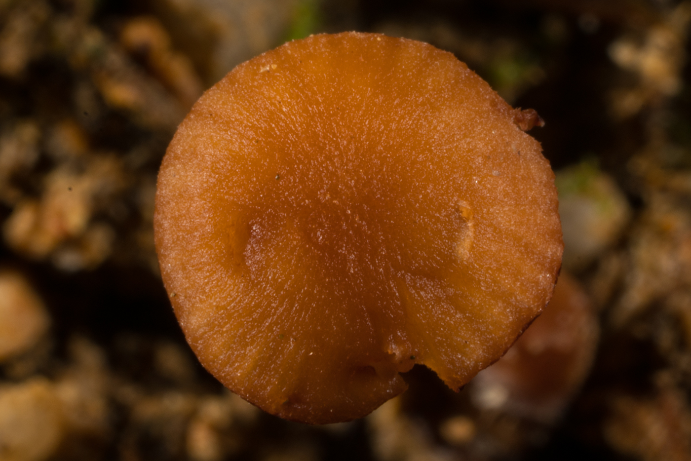 YDY08700.jpg