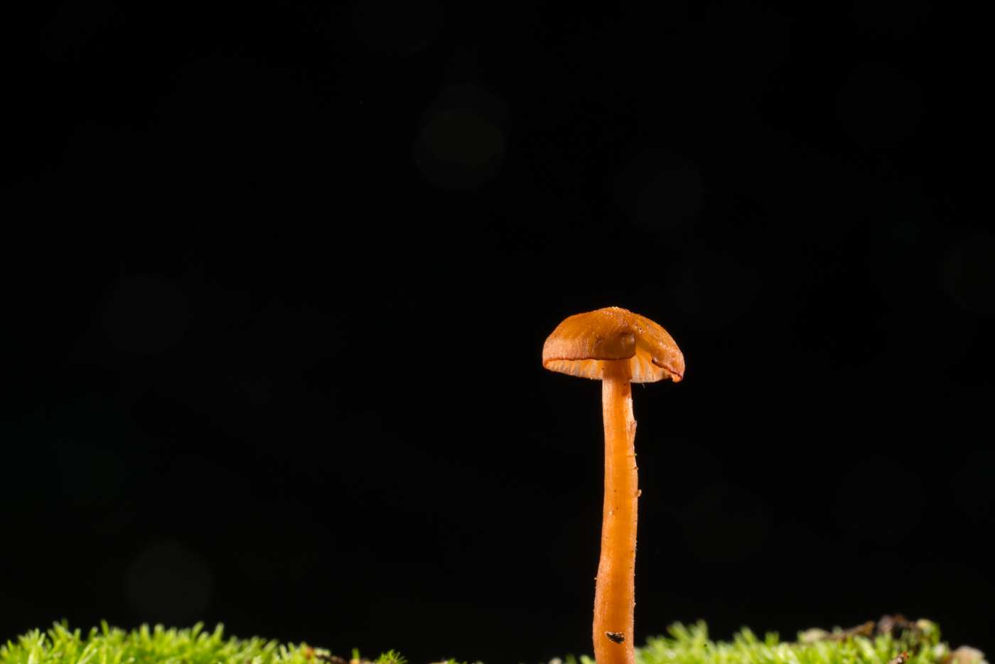 YDY08688.jpg