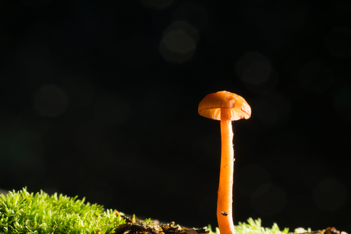 YDY08682.jpg